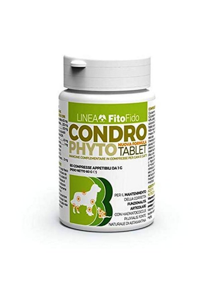 CONDROPHYTO TABLET 60CPR 1G