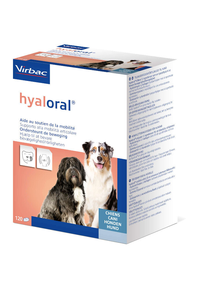 HYALORAL 120compresse - in esaurim.