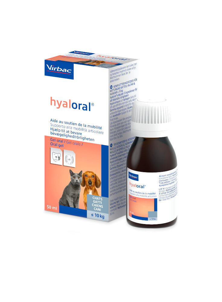 HYALORAL gel 50ml - in esaurim.