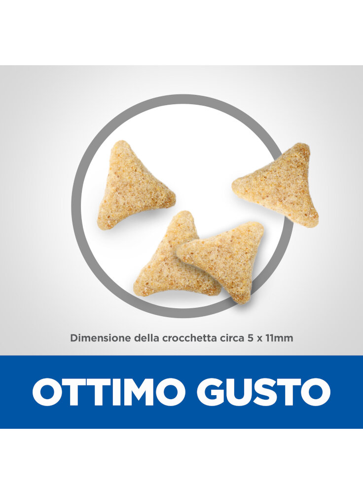 604112_KIBBLE_ABOVE_THE_FOLD_ONGOING