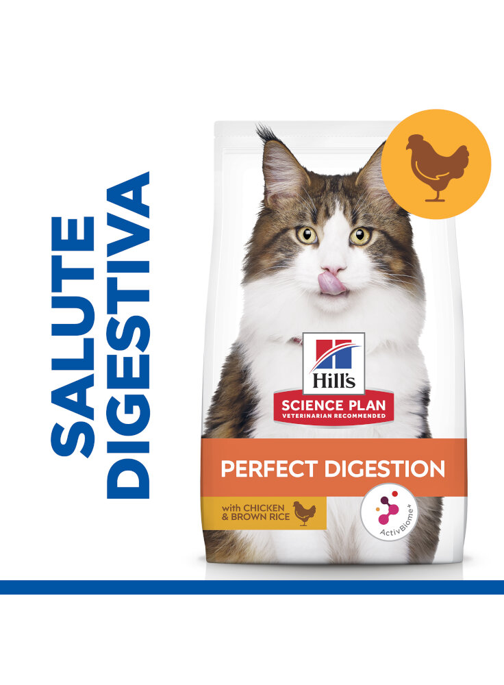 605955_ENHANCED_PACKAGE_FRONT_-_PLP_ABOVE_THE_FOLD_ONGOING