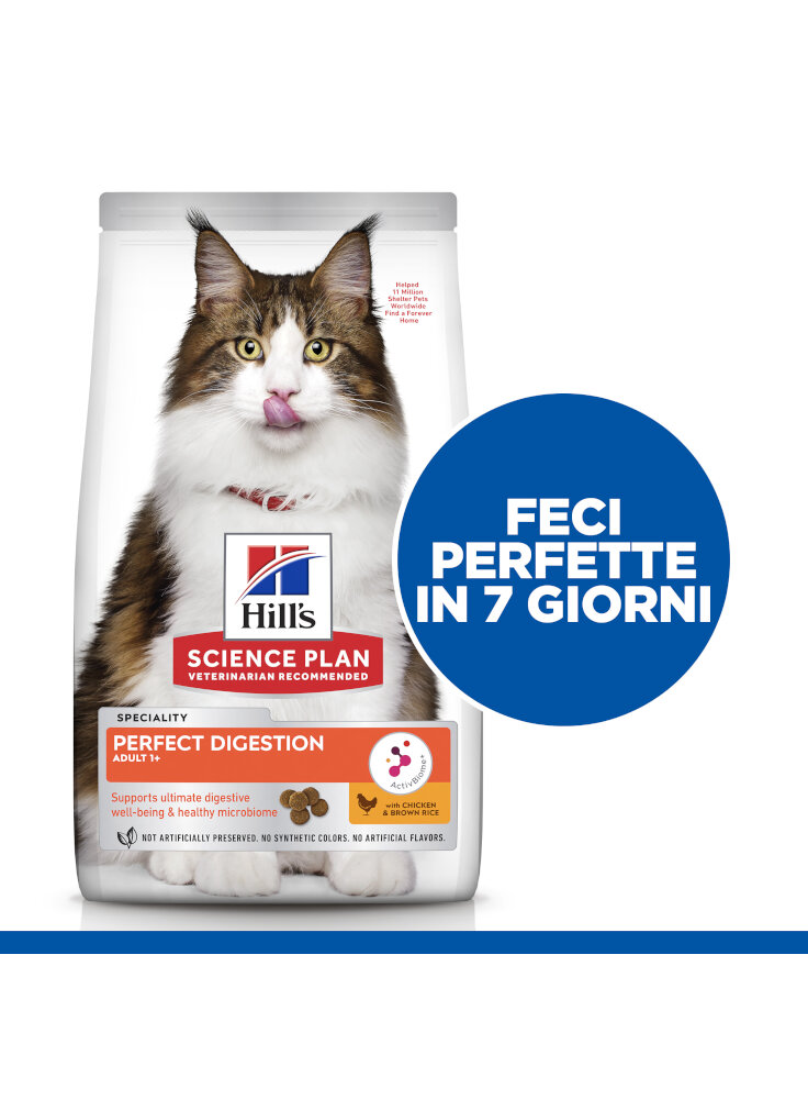 605955_ENHANCED_PACKAGE_FRONT_ABOVE_THE_FOLD_ONGOING