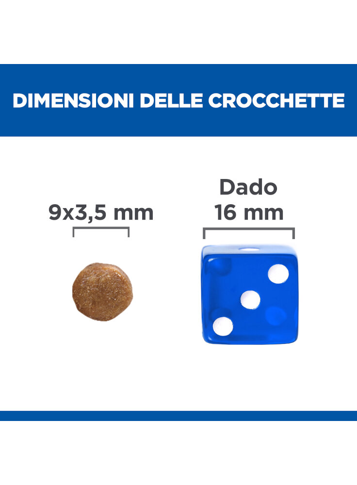 605955_KIBBLE_ABOVE_THE_FOLD_ONGOING