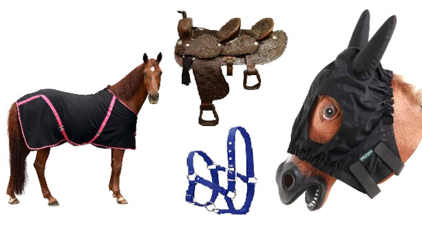 Accessori