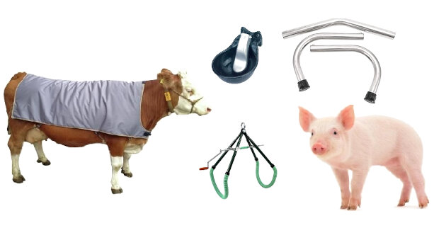 Accessori