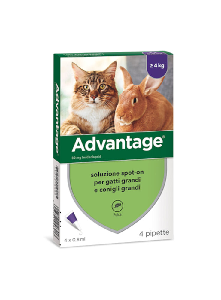 Advantage Spot On 0,8ml gatto/coniglio >4 kg  4 tubetti