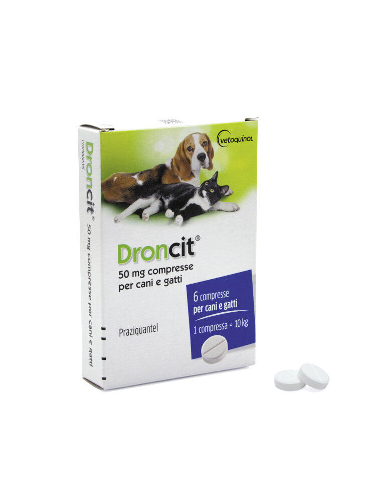 Droncit 6cpr