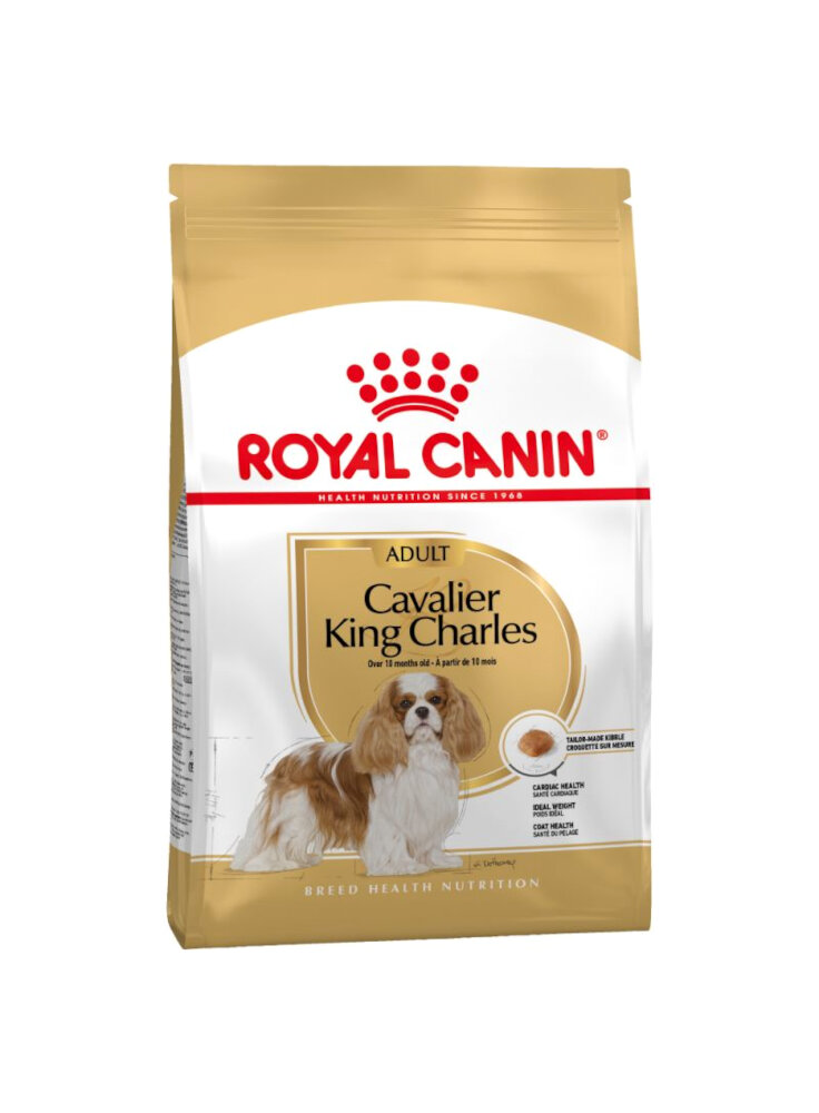 cane-bhn-cavalier-king-3kg