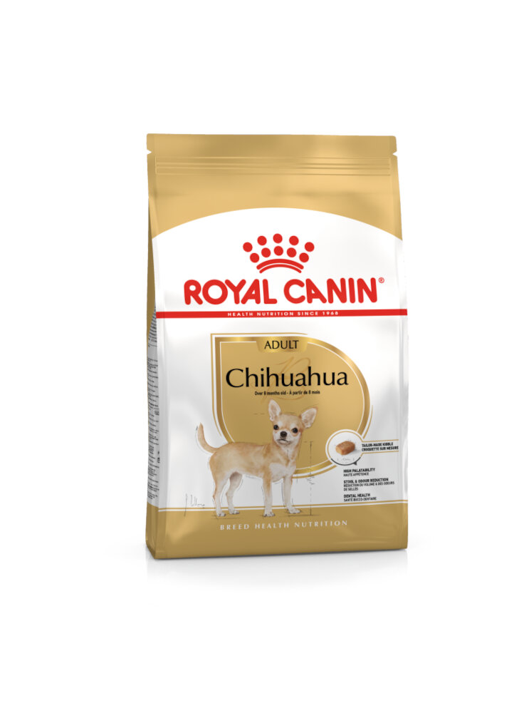CANE BHN CHIHUAHUA ADULT