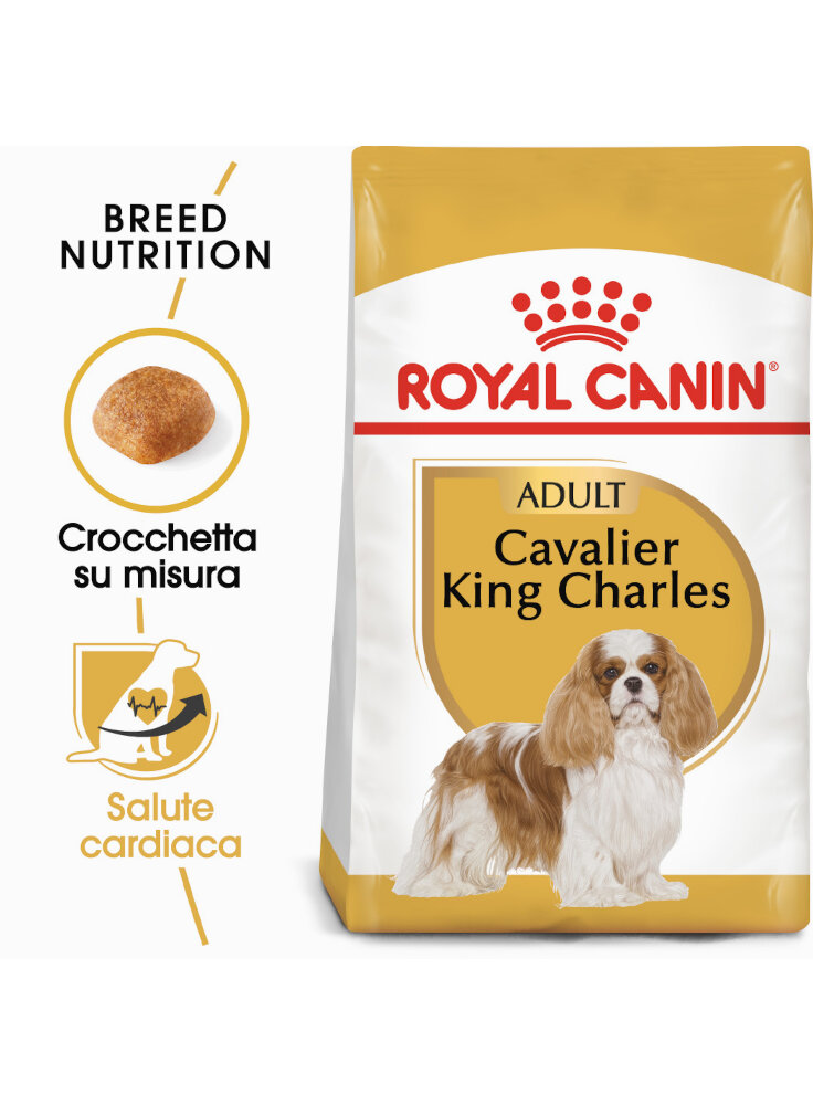 cavalier-king-charles-royal-canin-7-5-kg