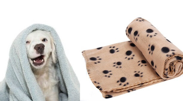 Coperte