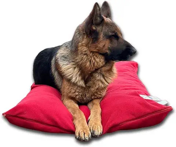 CUSCINO KISSEN