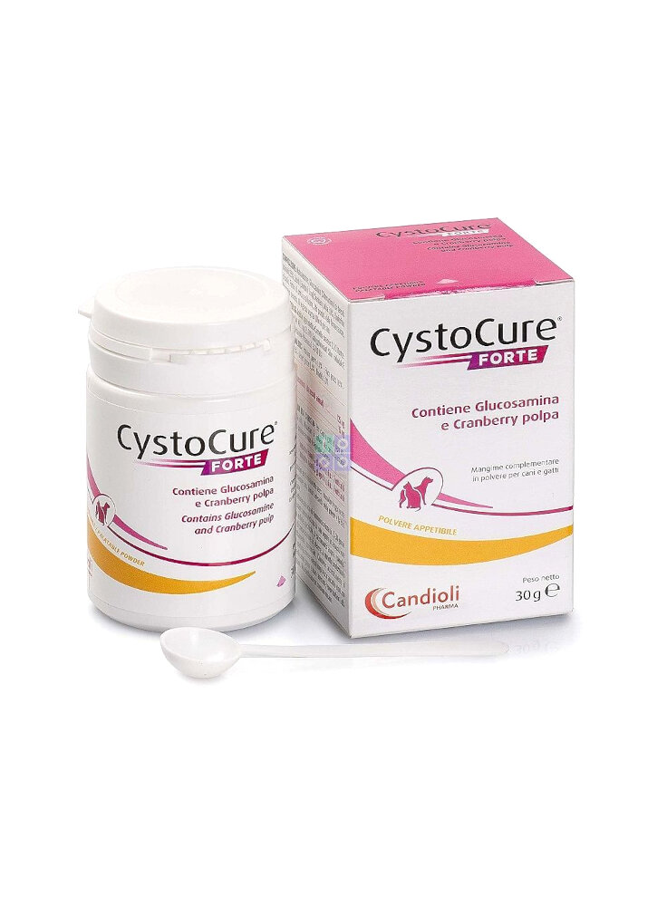 Cystocure FORTE polvere 30g