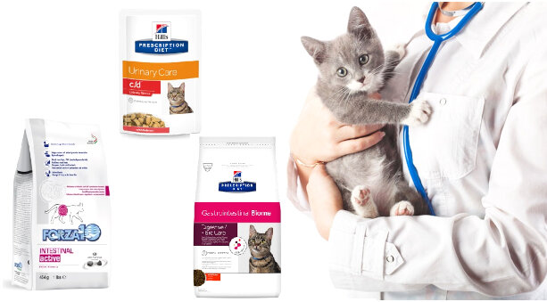 Diete veterinarie per gatto