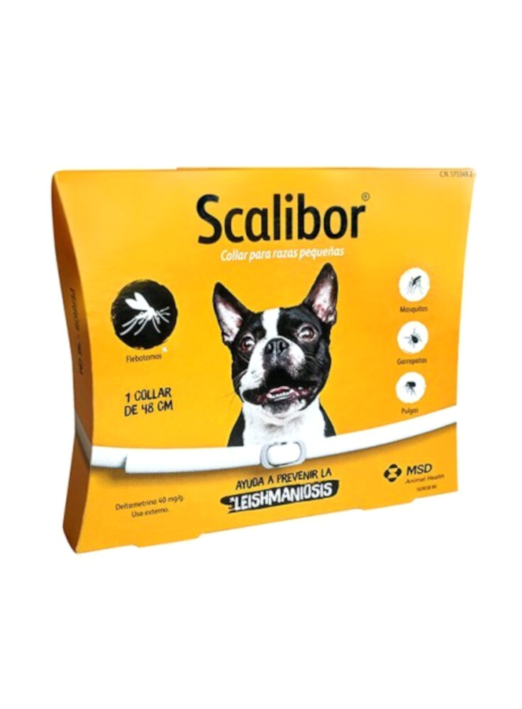 SCALIBOR Protector Band Small 48cm