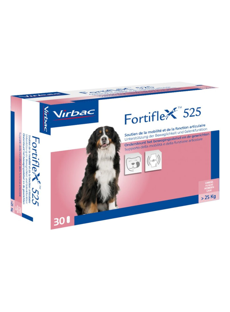 FORTIFLEX 525 II x 30cpr