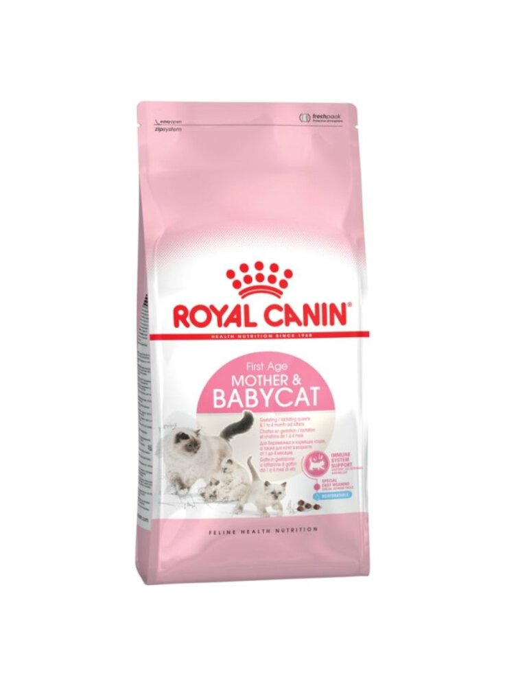 gatto-fhn-first-age-mother-babycat-4kg