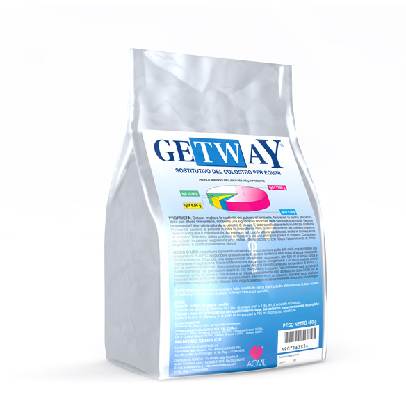 Getway Polvere Busta da 450 g