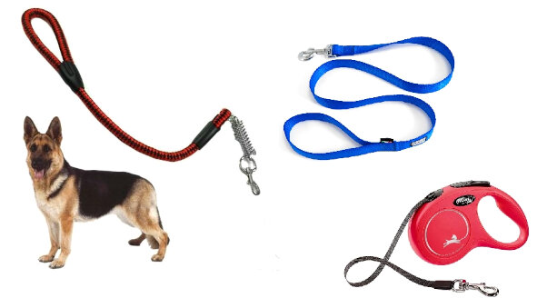 Guinzagli per cani