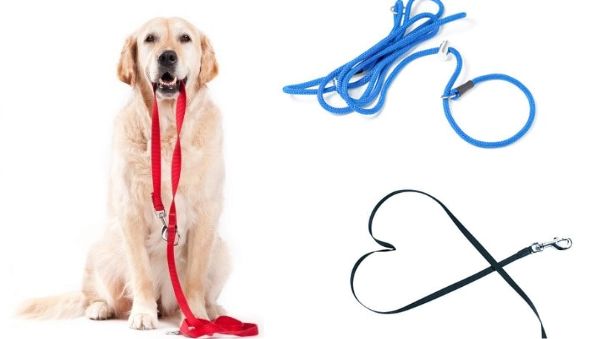 Guinzaglieria ed accessori