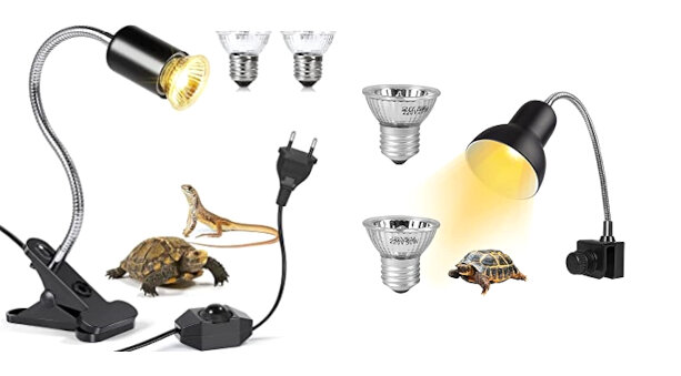 Illuminazione per rettili