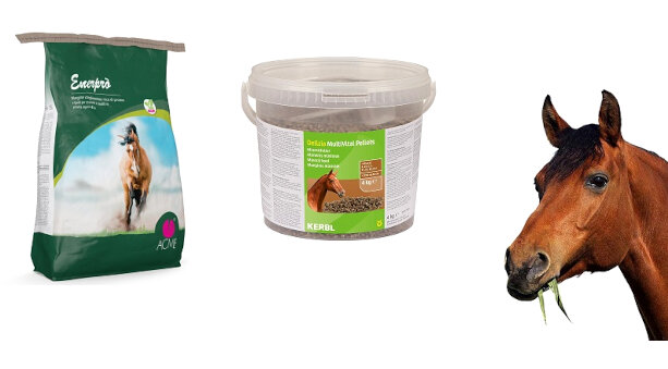 Mangimi, snack e premiscele