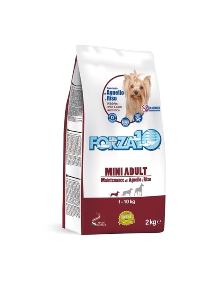 Forza 10 Maintenance agnello e riso S/M 2Kg - cane