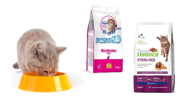 Mantenimenti per gatto