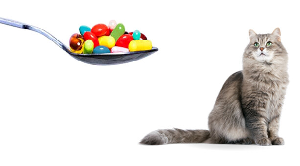 Multivitaminici e ricostituenti