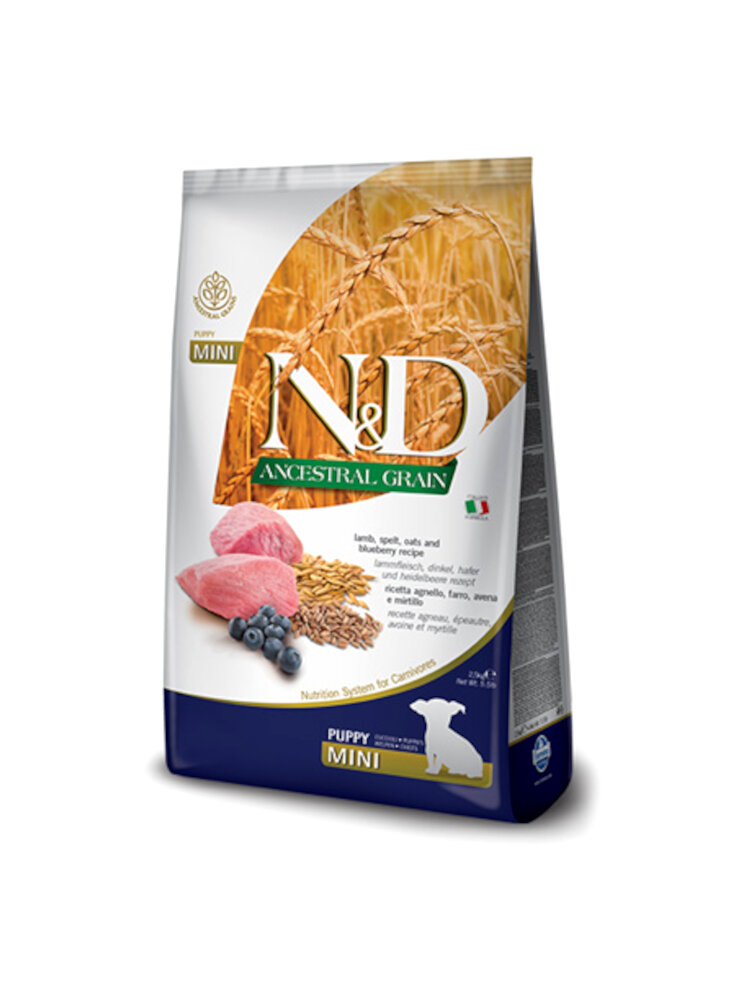 n-d-fo-ancestral-canine-grano-agnello-mirtillo-puppy-mini-800g