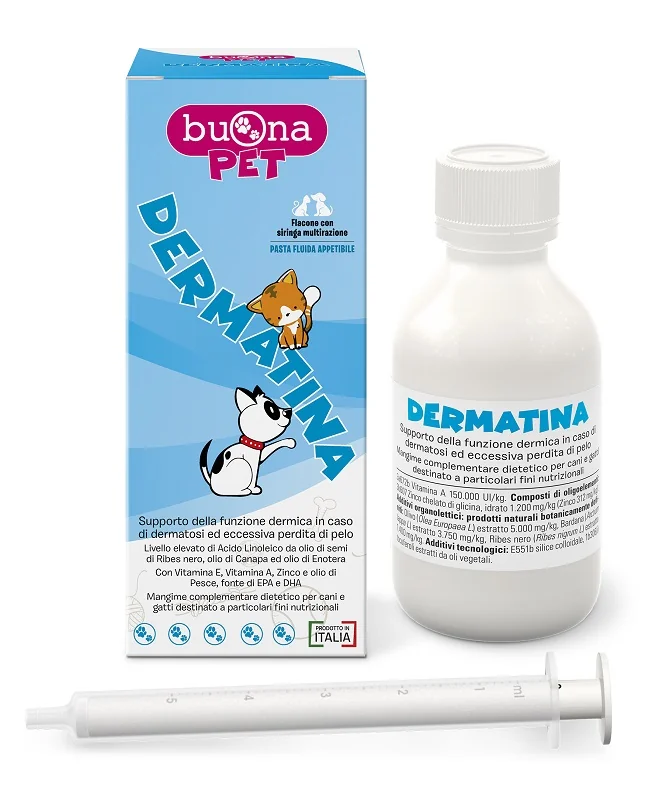 DERMATINA FLACONE 90gr