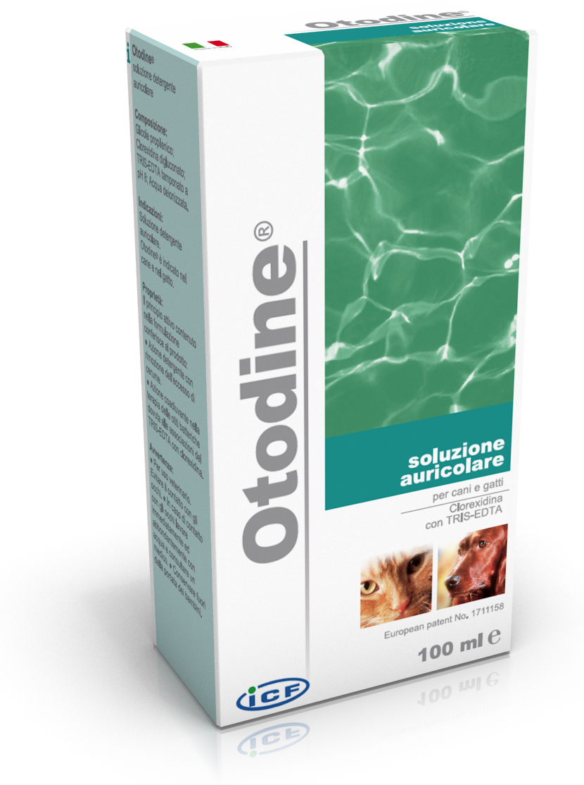 OTODINE 100ML