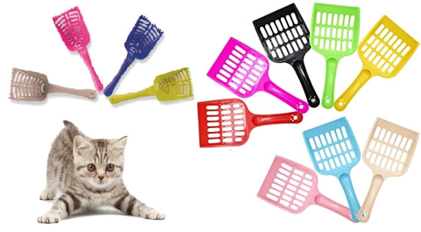 Palette ed accessori