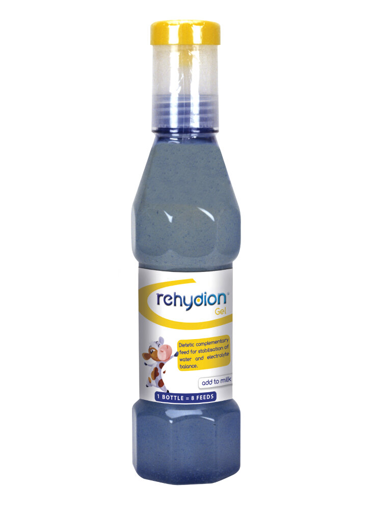 REHYDION gel 320 ml