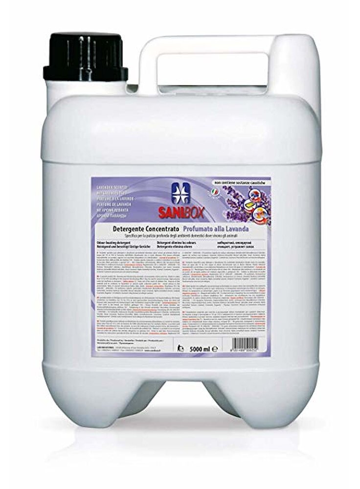 Detergente SANIBOX 5LT LAVANDA