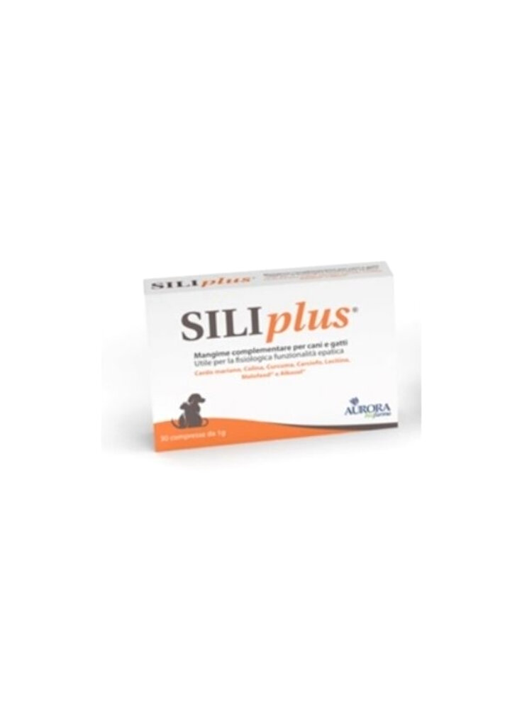 SILIPLUS 30CPR 1g