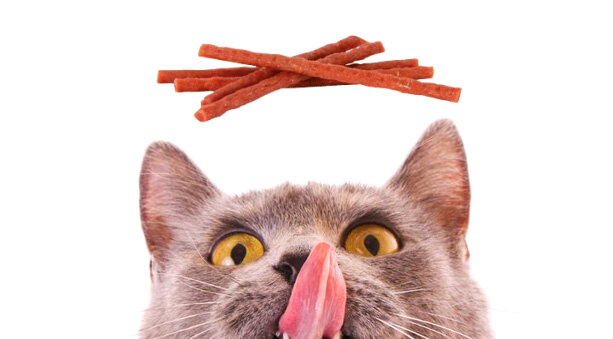 Snack