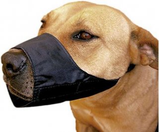 MUSERUOLA NYLON REG. FUSS-DOG EXTRA BOXER MIS.8 30CM