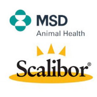 MSD ANIMAL HEALTH SRL