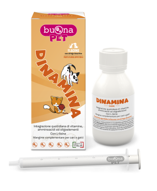 DINAMINA FLACONE 60g