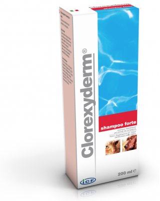 CLOREXYDERM SHAMPOO FORTE 200ML