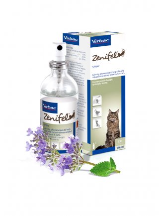 ZENIFEL SPRAY 60ml