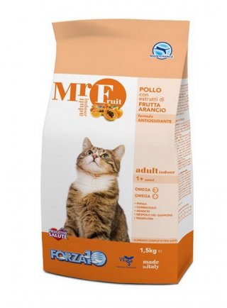 Forza 10 Mr. Fruit Adult Indoor