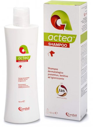 Actea Shampoo Flacone con tappo flip-top da 150 ml