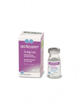 ACTICAM iniettaile 10ml 5mg/ml - in esaurim.