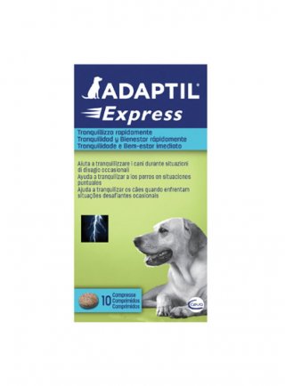 ADAPTIL Express compresse 10 T