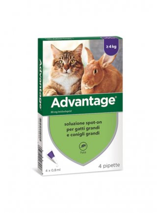 Advantage Spot On 0,8ml gatto/coniglio >4 kg  4 tubetti
