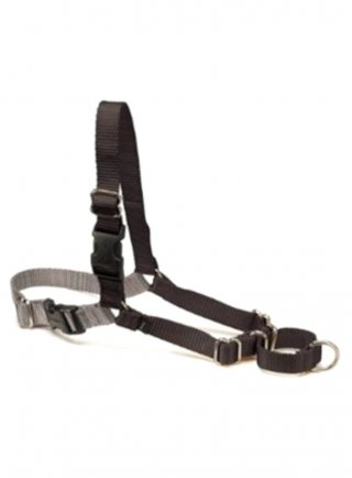 PETTORINA D´ADDESTRAMENTO EASY WALK PROFESSIONAL TG.S-M