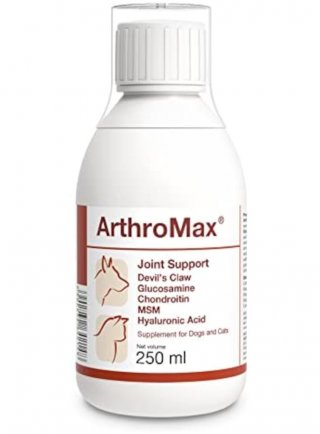 ARTHROMAX SCIROPPO 250ML