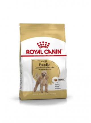 CANE BHN POODLE 1,5KG (1538)
